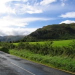 Near 'Watermillock', Ullswater, Lake District