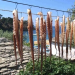 Mmmmm. Calamari down by 'Aliki' beach, Thassos