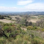 View back to Bedoin from the lower slopes of the Ventoux